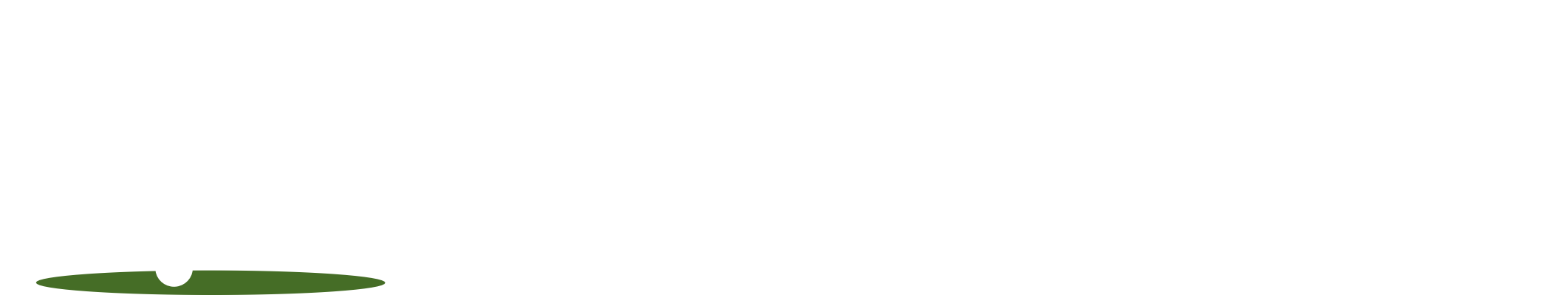 Green Consultores